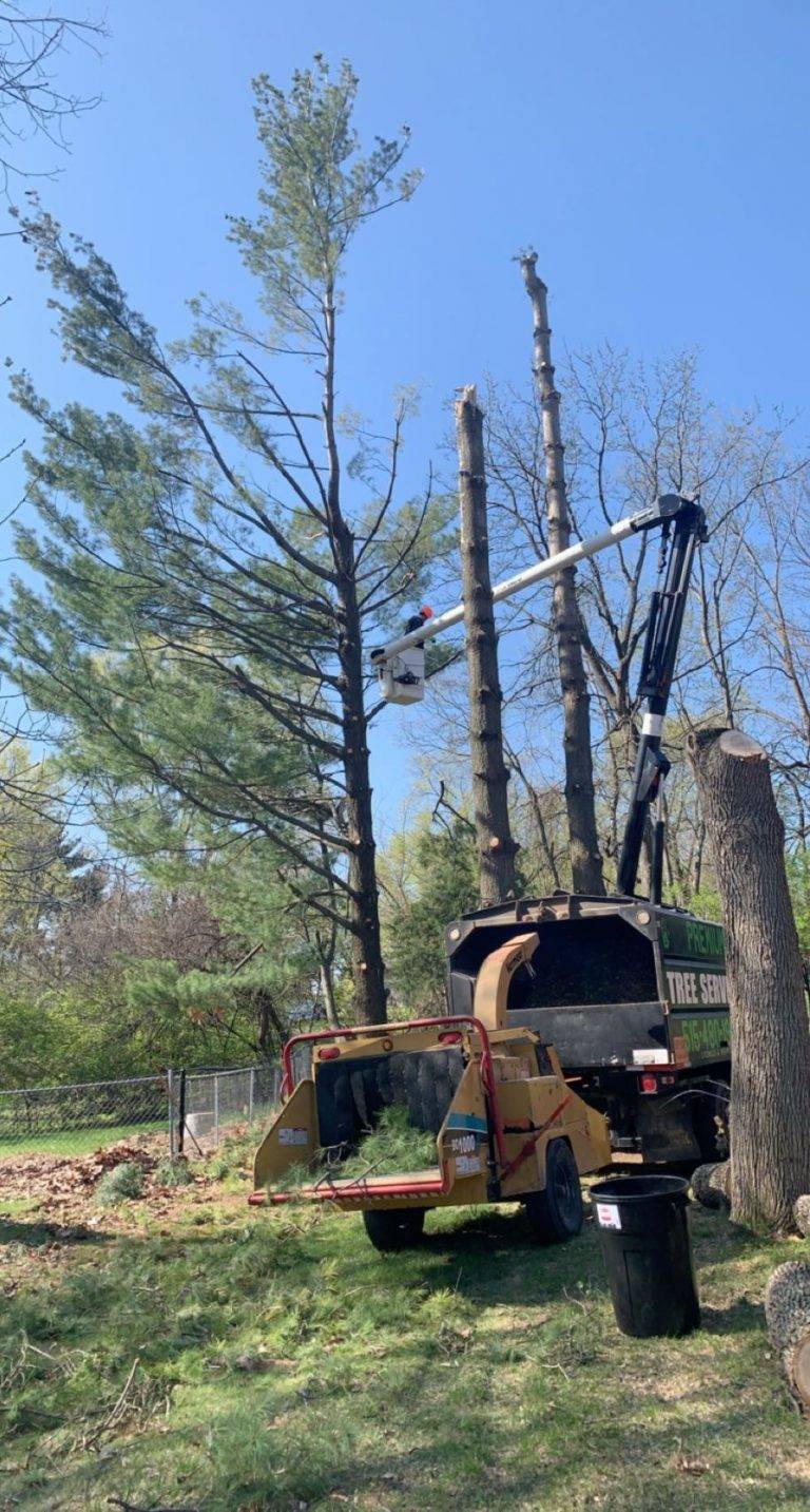 Iowa Tree Service Contractors - Premium Tree Service - Des Moines, IA