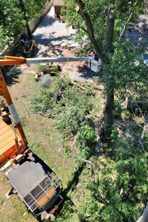 Aerial view of Premium Tree Service professionals trimming a tree from boom truck